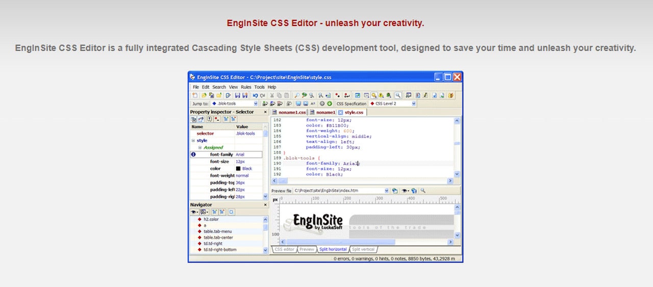 EnginSite Editor