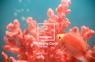 Pantone’s Color of The Year is Living Coral, Examples of Use